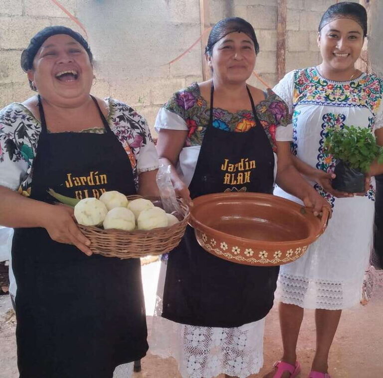 TOUR OF THE 4 BACABES : EXPERIENCE WITH MELIPONA BEES - Final Thoughts