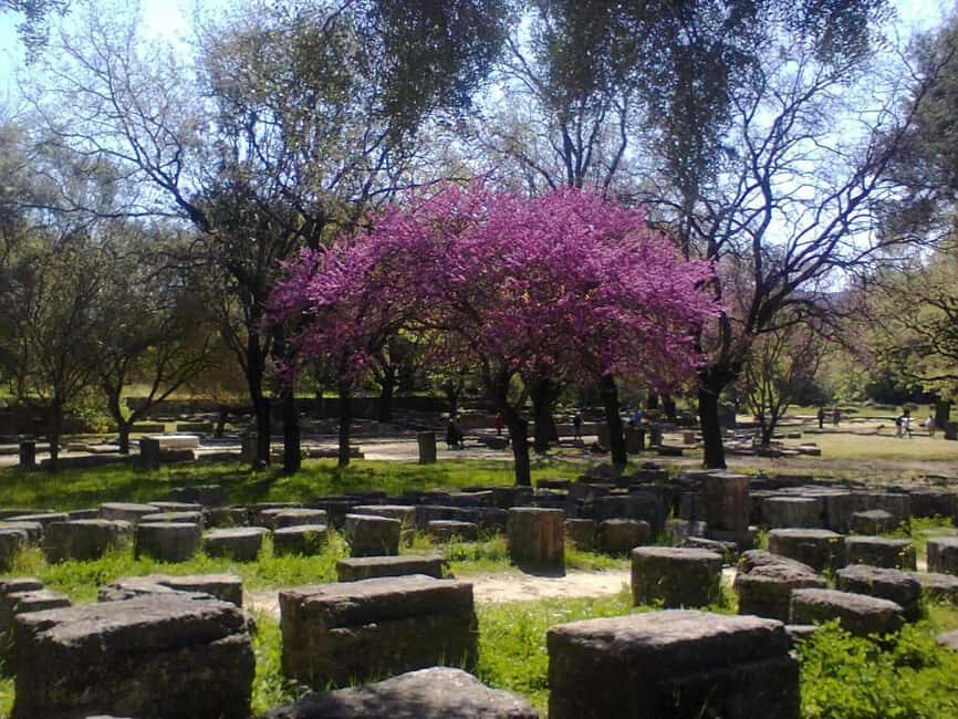 Tour of the archaeological site of Olympia by an Italian-Greek archaeologist - The Olympic Stadium and the Spirit of Competition