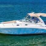 Tour of the city of Miami and its beautiful sunset - Exploring Miami from the Water: A Closer Look