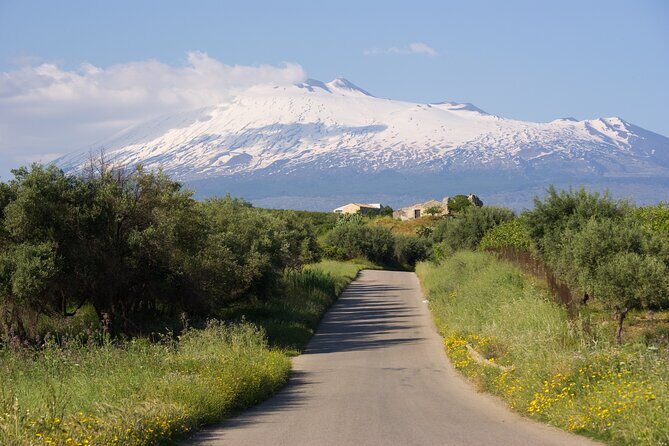 Tour of the Etna cellars, typical lunch and wine tasting - What to Expect from the Itinerary