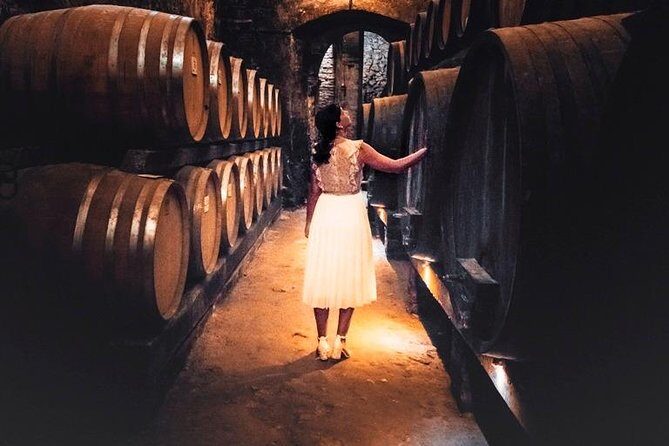 Tour of the historical cellars in Montepulciano - The Value of This Experience