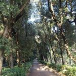 Tour of the Historical Museum and Miramare Castle Park in Trieste - In-Depth Review of the Tour Experience