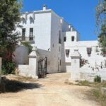 Tour of the oil mill with tasting - FAQ