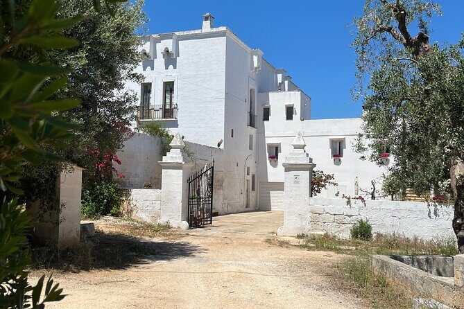Tour of the oil mill with tasting - FAQ