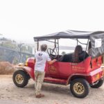 Tour Porto: Classic Adventure in Electric Tuk Tuk - Who Will Love This Tour?