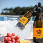 Tour Private Wine Tasting - The Value and What It Means for You