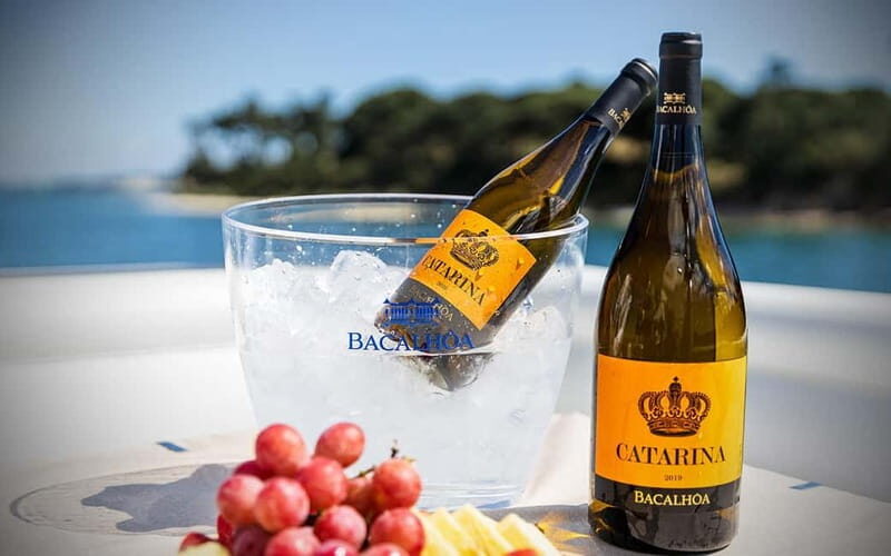 Tour Private Wine Tasting - The Value and What It Means for You