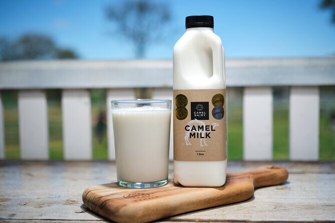 Tour, Taste & Camel Encounter - Exploring the Summer Land Camel Farm