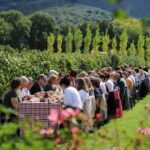 Tour & Tasting - Who Should Consider This Tour?