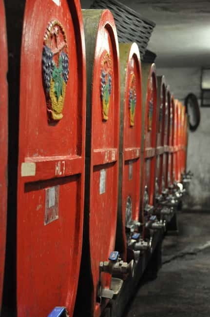 Tour & tasting at Tenuta la Viola - Who Should Consider This Experience?
