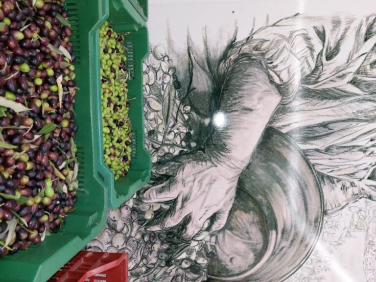 Tour & Tasting of Olive Oil and Tuscan Products - Sarteano - Practical Details and Tips