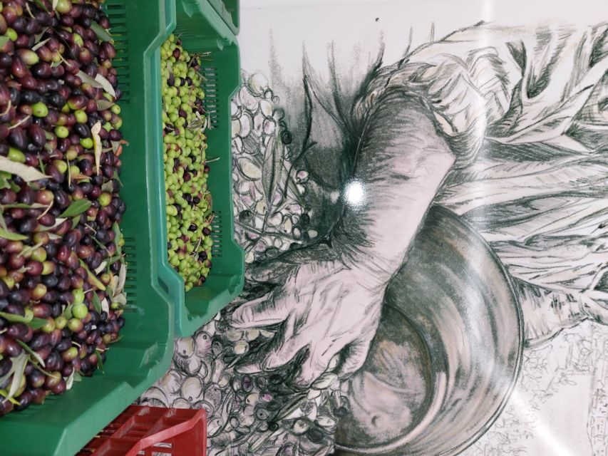 Tour & Tasting of Olive Oil and Tuscan Products - Sarteano - Practical Details and Tips