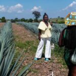 Tour Tequila Loreta Travel&Tour - Who Will Love This Tour?