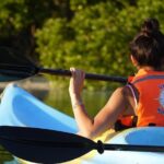 Tour the Mangroves in Kayak by Isla Holbox - Final Thoughts