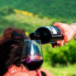 Tour through the vineyards and wine and olive oil tasting in Tuscany - An In-Depth Look at the Villa La Ripa Wine & Olive Oil Tour