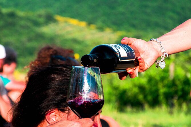 Tour through the vineyards and wine and olive oil tasting in Tuscany - An In-Depth Look at the Villa La Ripa Wine & Olive Oil Tour