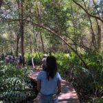 Tour to Celestún - In-Depth Review of the Tour Experience