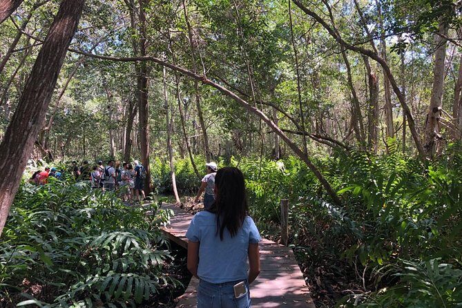 Tour to Celestún - In-Depth Review of the Tour Experience