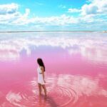 Tour to Las Coloradas Pink Waters and Boat Ride in Rio Lagartos with Lunch. - Practical Considerations and Tips