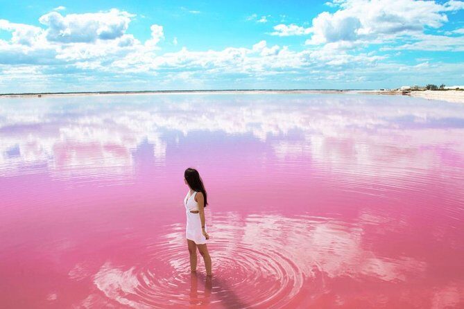 Tour to Las Coloradas Pink Waters and Boat Ride in Rio Lagartos with Lunch. - Practical Considerations and Tips