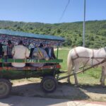Tour to Old Orhei &Cave Monastery &Cricova cellar tour tasting - A Deep Dive into the Moldova Experience