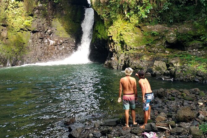 Tour to Primeval Crystal Waters of Samoa - Who Is This Tour Perfect For?