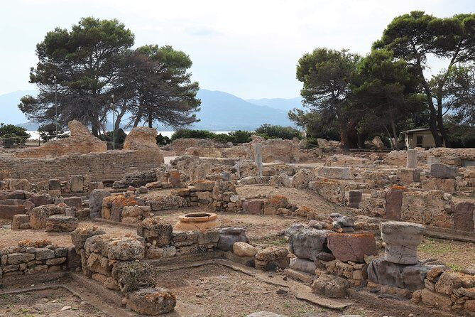 Tour to the archaeological site of Nora - from Cagliari - Who This Tour Is Perfect For