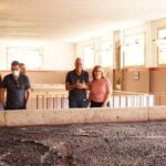 Tour to the Palace of Mateus and the Douro - Frequently Asked Questions