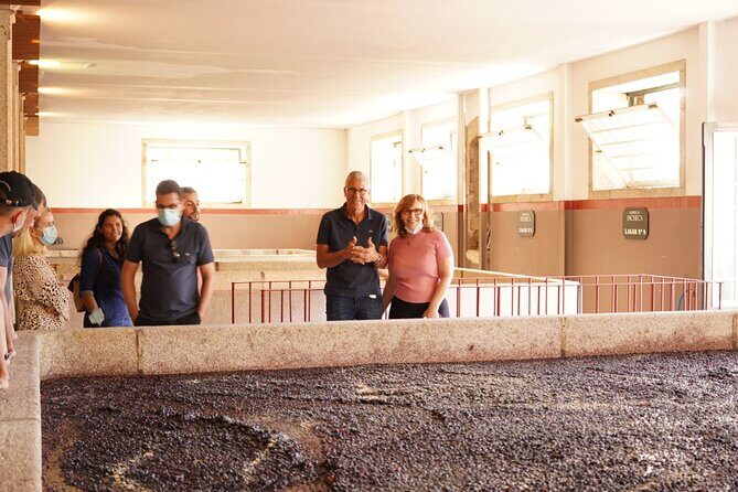 Tour to the Palace of Mateus and the Douro - Frequently Asked Questions