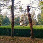Tour to the Venetian Villas and the Brenta Riviera from Padua - A Deep Dive into the Venetian Villas and Brenta Riviera Tour