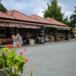 Tour to Troodos, Kykkos Monastery, Omodos and Winery from Paphos - Potential Drawbacks and Considerations