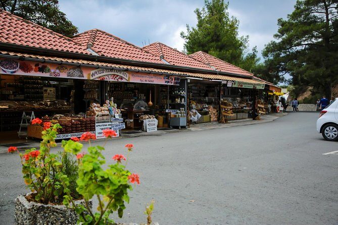 Tour to Troodos, Kykkos Monastery, Omodos and Winery from Paphos - Potential Drawbacks and Considerations