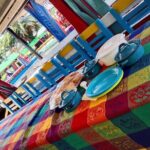 Tour to Xochimilco and Coyoacan and Frida Khalo - A Deep Dive into the Experience