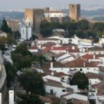 Tour / transfer Lisbon /Porto /Porto/Lisbon with several stops - Final Thoughts