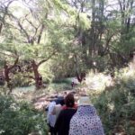 Tour Visiting the Malpais - Who Should Consider This Tour?