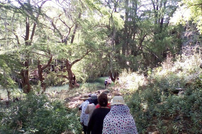 Tour Visiting the Malpais - Who Should Consider This Tour?