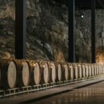 Tour & Wine Tasting San Miguel Vineyard / San Miguel Experience - An In-Depth Look at the San Miguel Vineyard & Tasting Tour