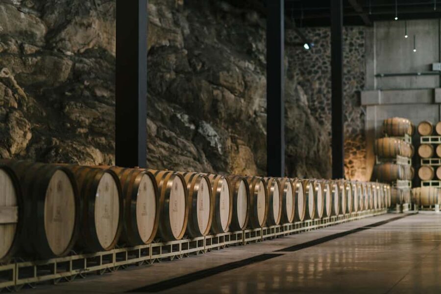 Tour & Wine Tasting San Miguel Vineyard / San Miguel Experience - An In-Depth Look at the San Miguel Vineyard & Tasting Tour