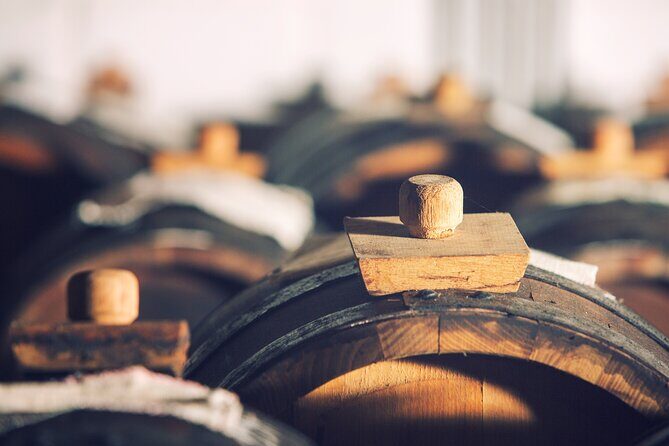 Tour with a tasting of the authentic Traditional Balsamic vinegar - Who Will Love This Tour?