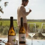 Tour with Wine and Olive Oil Tasting - An In-Depth Look at the Experience