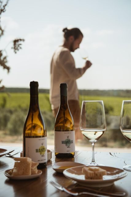 Tour with Wine and Olive Oil Tasting - An In-Depth Look at the Experience