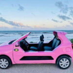 Tourist Buggy Tour of Cozumel Island - Chankanaab - What Makes the Tour Stand Out?