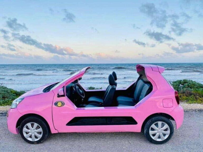 Tourist Buggy Tour of Cozumel Island - Chankanaab - What Makes the Tour Stand Out?