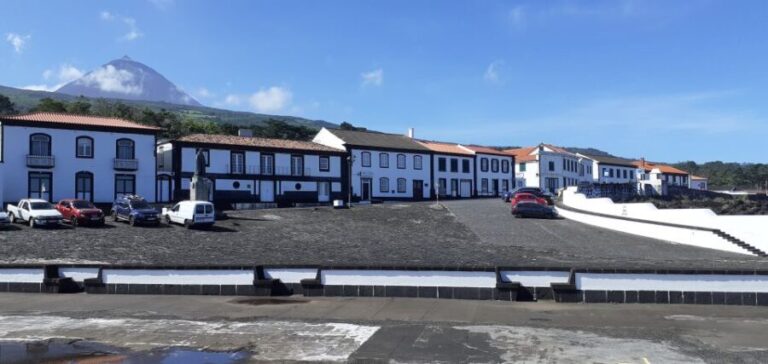 Tours on Pico Island - Cultural and Natural Landscape - The Sum Up