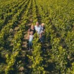 Tours-sur-Marne: Cellar Tour & Champagne Tasting - Final Thoughts