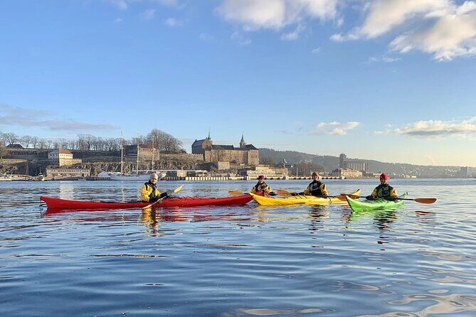 Tours_Oslo_Oslo Sea Kayak Tour_D902 140628P3 Review - A Deep Dive into the Kayaking Experience