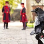 Tower of London Fully Guided Private Tour - FAQs