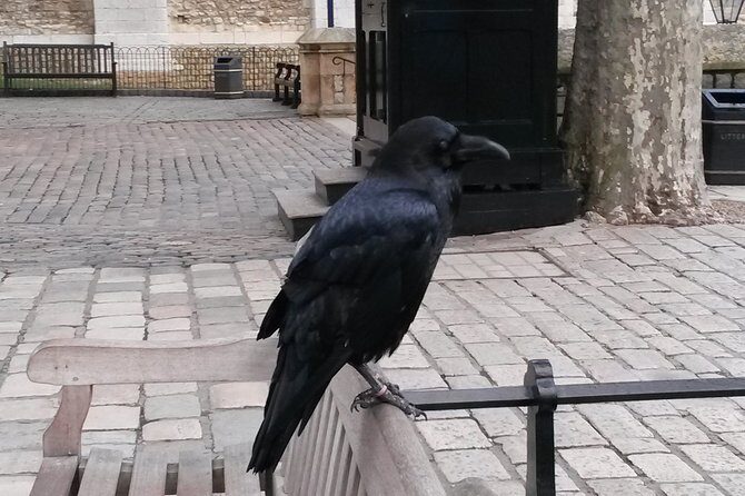Tower of London Private Tour - Exploring the Tower of London: A Deep Dive
