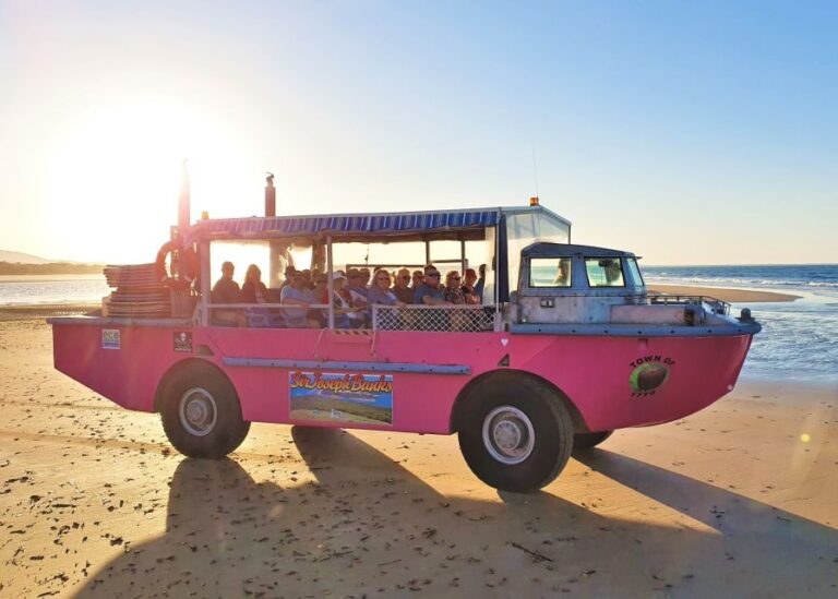 Town 1770: Afternoon Coastline Tour - Final Thoughts