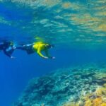 Townsville & Magnetic Island: MOUA & Great Barrier Reef Trip - Why This Tour Works